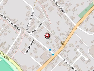 Carte de Pichelin Patrick à Verdun