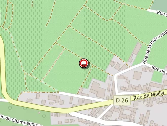 Carte de Champagne Manuel Janisson à Verzenay