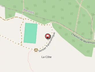 Carte de Etablissements Spies à Saulny