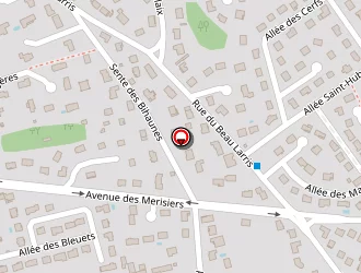 Carte de Ressian Gérard à Lamorlaye