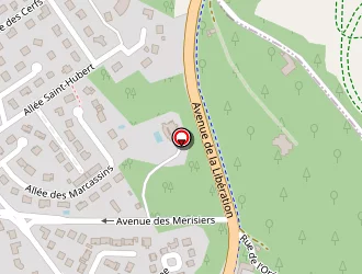 Carte de Nepoux Dominique à Lamorlaye