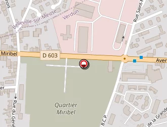 Carte de Paffoni Immobilier à Verdun