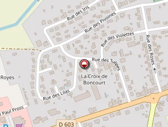 Carte de Conseil Général à Conflans-en-jarnisy