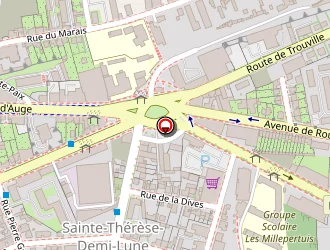 Carte de Mesnier Jean-luc à Caen