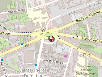 Carte de Fall Mamadou à Caen