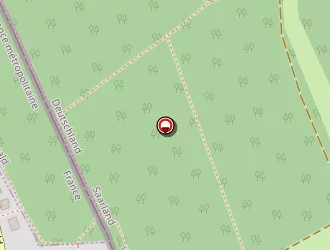 Carte de Taxi Pahler Danièlle à Carling