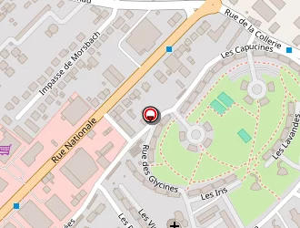 Carte de Osmani Robert à Forbach