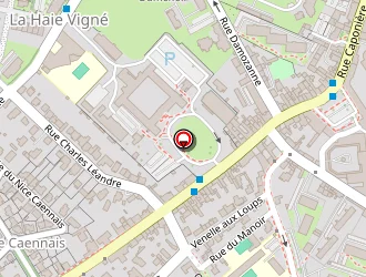 Carte de Imprimerie Publiconseil à Caen