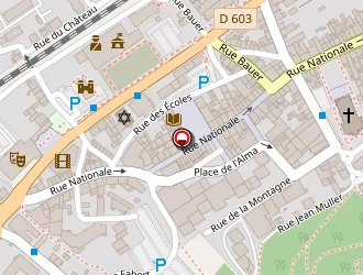 Carte de Schneider Alain à Forbach