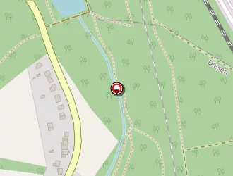 Carte de Guldner Patrick à Diesen