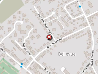 Carte de Marie Fleurs à Forbach