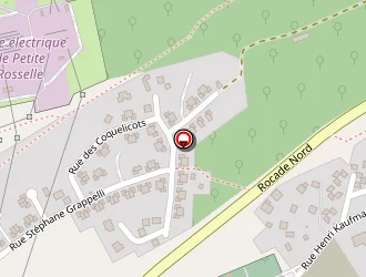 Carte de Marongiu Narciso à Forbach