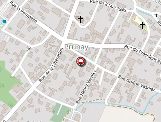 Carte de Gournoff Stéphanie à Prunay