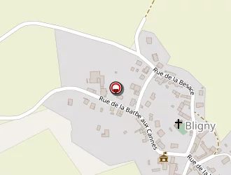 Carte de Mairie à Bligny