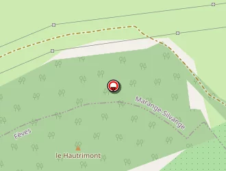 Carte de Mairie à Fèves