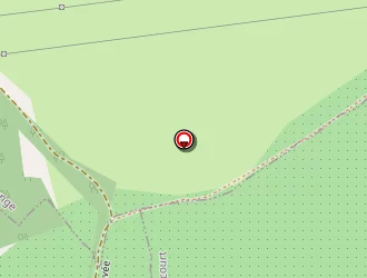 Carte de Diagnosur à Fèves