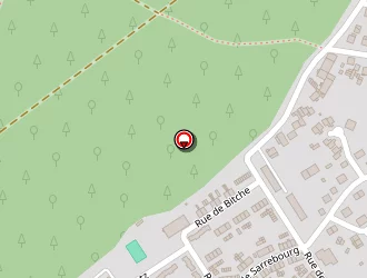 Carte de Zimmer Yannick à Creutzwald