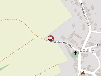 Carte de Mairie à Bouilly