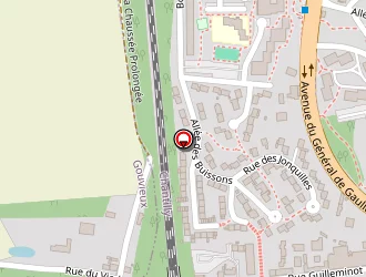 Carte de Ji-chevreuil Xiaolin à Chantilly