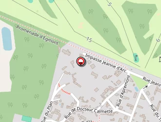 Carte de Lemaitre Patrick à Vineuil-saint-firmin