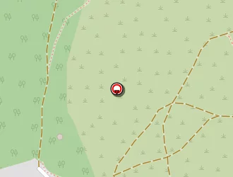 Carte de Pikobelo à Forbach