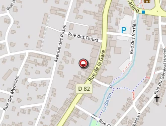 Carte de Pressing Central à Creutzwald