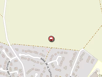 Carte de Loupias Cedrick à Bornel