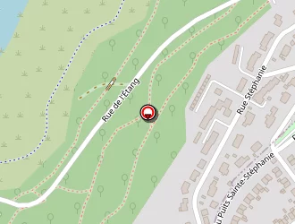 Carte de Carmi Est à Schœneck