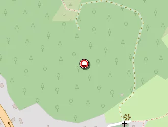 Carte de Desteuque Pierette à Vironvay