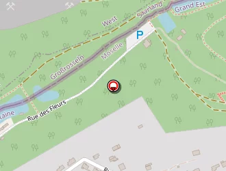 Carte de Techni Sav à Petite-rosselle