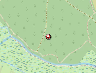 Carte de Vengeons (earl) à Lessay