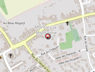 Carte de Boudinet Eric à Montois-la-montagne