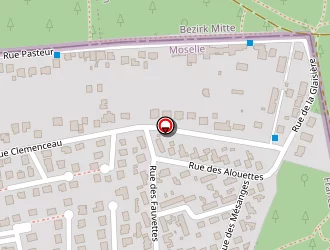 Carte de Lokar Patrick à Schœneck