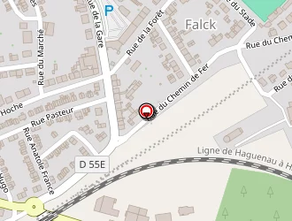 Carte de Inter Services à Falck