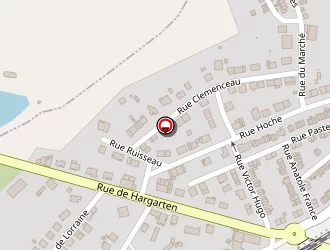 Carte de Pucci Didier à Falck