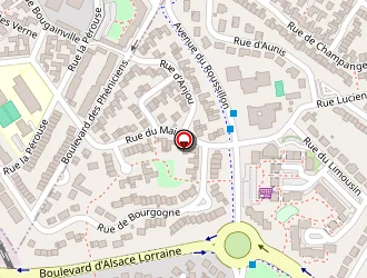 Carte de Thomassin Julie à Cormontreuil