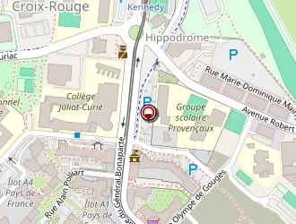 Carte de Laoubi Mohamed Amine à Reims