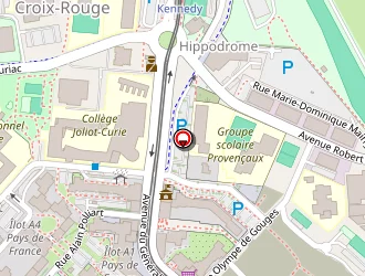 Carte de Benaddi Saïda à Reims