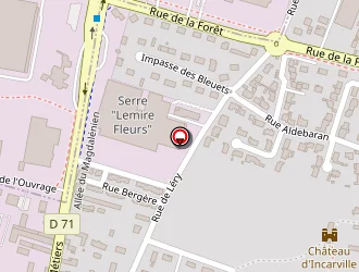 Carte de Fauvel Michel à Incarville