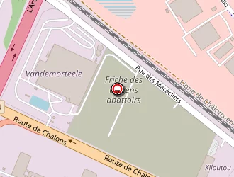 Carte de Singulia Transport Top Chrono à Reims