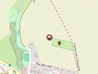 Carte de Vivien Alexis à Cairon