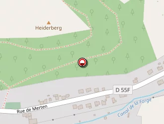 Carte de Taxi Viviane à Dalem