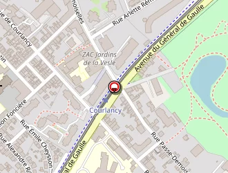 Carte de Schmitte Monique à Reims