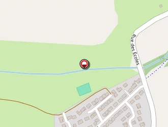 Carte de Newel Antoine à Trémery