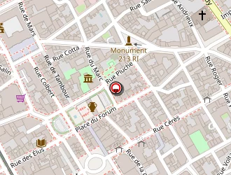 Carte de Zelgadis Chausseur à Reims