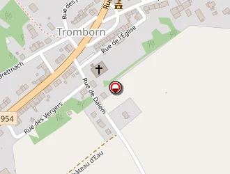 Carte de Perroquet Pro à Tromborn