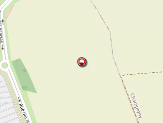 Carte de Darty à Thillois