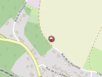 Carte de Taxi Rudy Gressier à Fleury