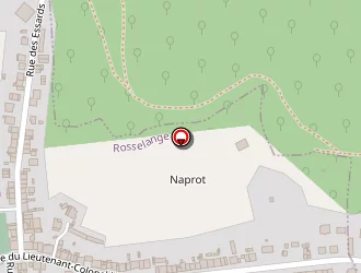 Carte de Nouvel'hair à Rosselange