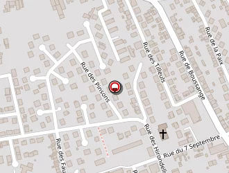 Carte de Virgi'nails à Mondelange